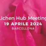 Lichen Hub Meeting