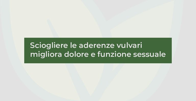 Sciogliere le aderenze vulvari: cosa dice un nuovo studio su dolore e vita sessuale- 1